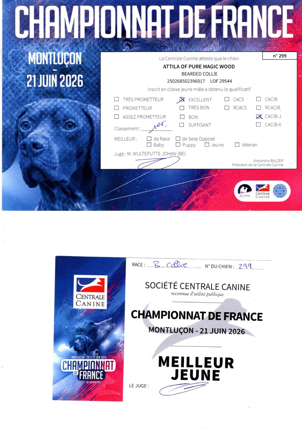 Championnat de France 2026
